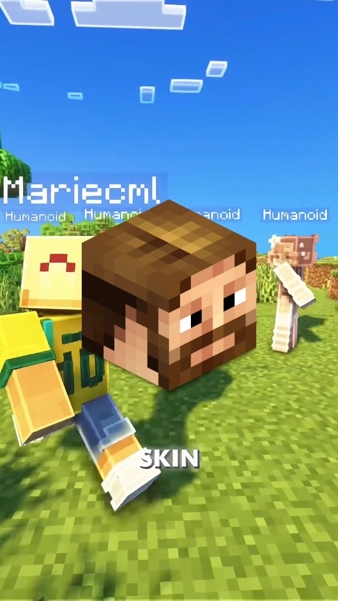Short Minecraft